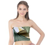 Monstera Palm Leaves Plants Tube Top