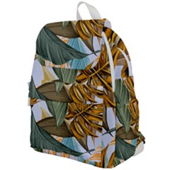 Top Flap Backpack 