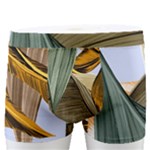 Monstera Palm Leaves Plants Men s Boxer Briefs