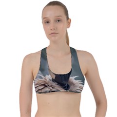 Criss Cross Racerback Sports Bra 