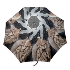 Folding Umbrella 