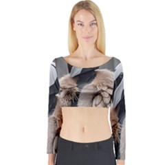 Long Sleeve Crop Top 