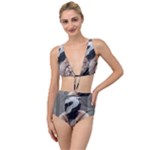 Digital Rebel 6 Tied Up Two Piece Swimsuit