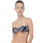 Digital Rebel 6 Classic Bandeau Bikini Top 