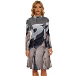 Digital Rebel 6 Long Sleeve Shirt Collar A-Line Dress