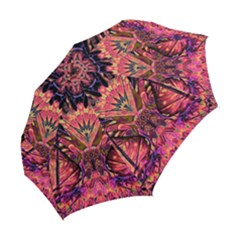 Folding Umbrella 