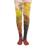 Forest Woods Autumn Nature Thigh High Stockings