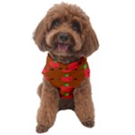 Apple Arrow Pattern Design Drawing Dog Sweater