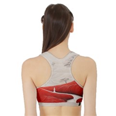 Sports Bra with Border 