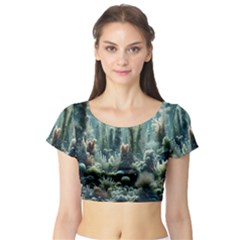 Short Sleeve Crop Top 