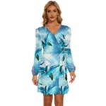 Dolphin Blue Sea Fantasy Long Sleeve Waist Tie Ruffle Velvet Dress