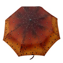 Folding Umbrella 