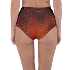 Reversible High-Waist Bikini Bottoms 