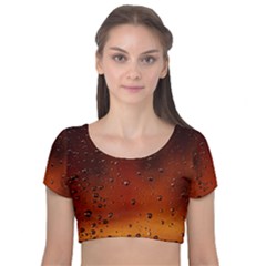 Velvet Short Sleeve Crop Top  