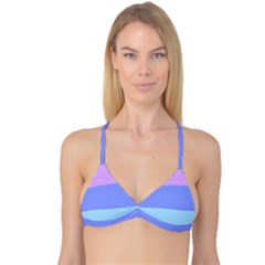 Reversible Tri Bikini Top 