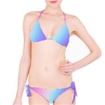 Pastel Rainbow, Color Classic Bikini Set