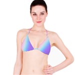 Pastel Rainbow, Color Classic Bikini Top