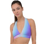 Pastel Rainbow, Color Halter Plunge Bikini Top