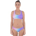 Pastel Rainbow, Color Cross Back Hipster Bikini Set