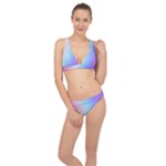 Pastel Rainbow, Color Classic Banded Bikini Set 