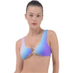 Pastel Rainbow, Color Ring Detail Bikini Top