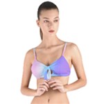 Pastel Rainbow, Color Tie Up Cut Bikini Top