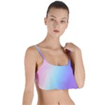 Pastel Rainbow, Color Layered Top Bikini Top 