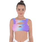 Pastel Rainbow, Color Bandaged Up Bikini Top