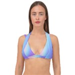 Pastel Rainbow, Color Double Strap Halter Bikini Top