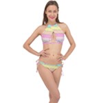 Pastel, Butterfly, Spring, Stripes, Cross Front Halter Bikini Set