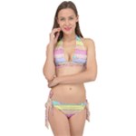 Pastel, Butterfly, Spring, Stripes, Tie It Up Bikini Set