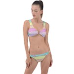 Pastel, Butterfly, Spring, Stripes, Ring Detail Crop Bikini Set