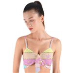 Pastel, Butterfly, Spring, Stripes, Woven Tie Front Bralet