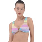 Pastel, Butterfly, Spring, Stripes, Ring Detail Bikini Top