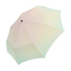 Folding Umbrella 