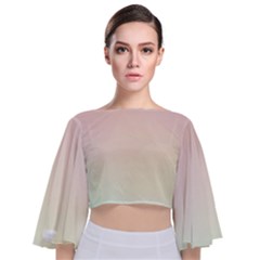 Tie Back Butterfly Sleeve Chiffon Top 