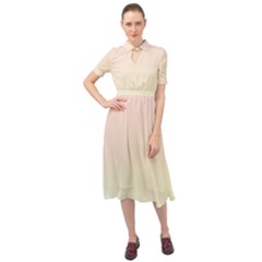 Keyhole Neckline Chiffon Dress 