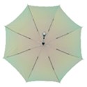 Automatic Folding Umbrella with Case (Medium) 