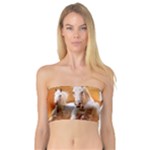 Seven Horses, Sun Bandeau Top