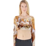 Seven Horses, Sun Long Sleeve Crop Top