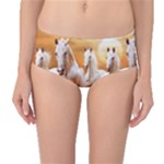 Seven Horses, Sun Mid-Waist Bikini Bottoms