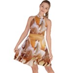 Seven Horses, Sun Sleeveless Halter Neck A-Line Dress