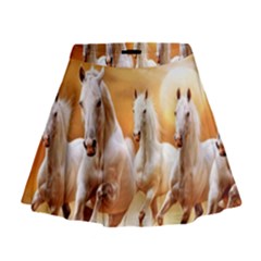 Mini Flare Skirt 