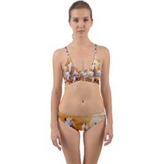 Wrap Around Bikini Set 