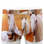 Seven Horses, Sun Men s Boxer Briefs