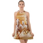 Seven Horses, Sun Halter Tie Back Chiffon Dress