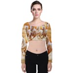 Seven Horses, Sun Velvet Long Sleeve Crop Top