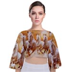 Seven Horses, Sun Tie Back Butterfly Sleeve Chiffon Top