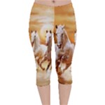 Seven Horses, Sun Velvet Capri Leggings 