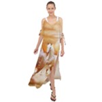 Seven Horses, Sun Maxi Chiffon Cover Up Dress